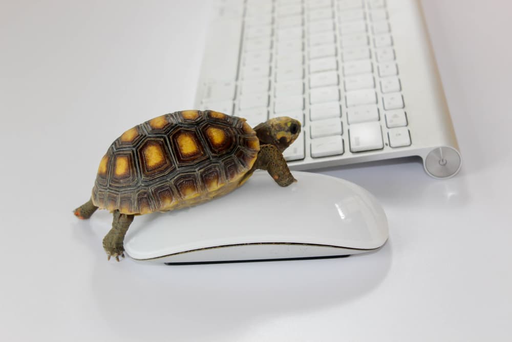 ¿Tu conexión a Internet es más lenta que la velocidad de fibra contratada?