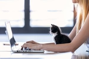 internet para trabajar desde casa